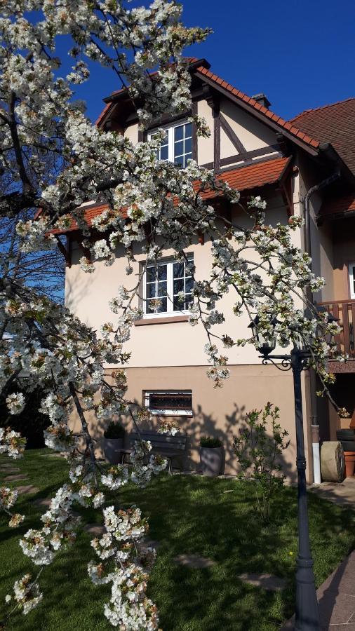 Gite "Le Platane" 45 M2 - Climatise Monswiller Exterior foto