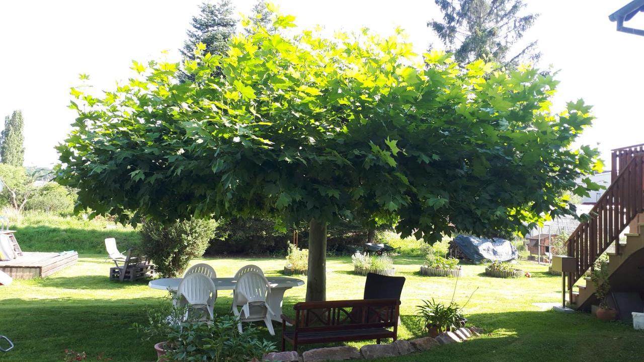 Gite "Le Platane" 45 M2 - Climatise Monswiller Exterior foto