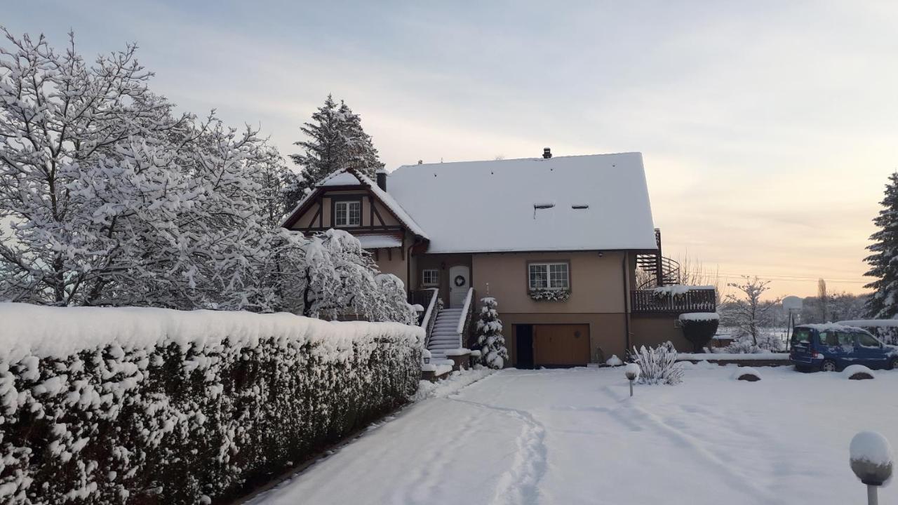 Gite "Le Platane" 45 M2 - Climatise Monswiller Exterior foto